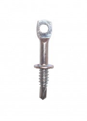 Eye Lag Screw - 2